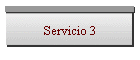 Servicio 3